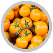 Pomodoro-ciliegino-arancione